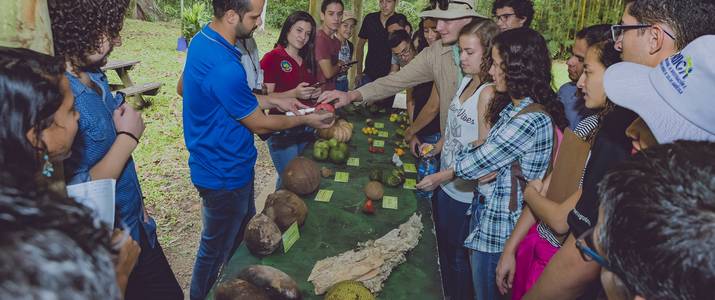 CATIE Explications fruits guide