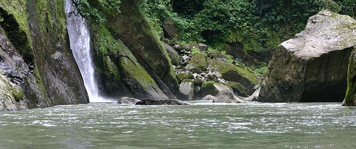 Selva Verde Cascade Nature