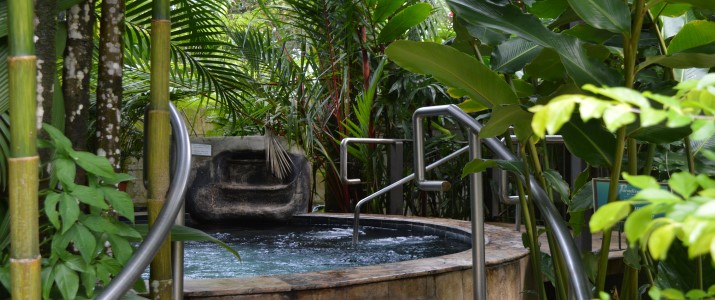 Paradise Hot Springs - Jacuzzi