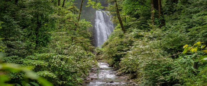 El Tigre Waterfalls - Cascade
