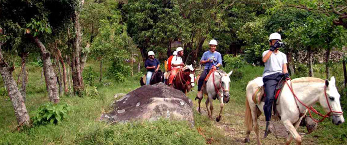 Vista Golfo Adventure Park 2 Alt  chevaux balade