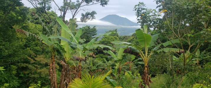 CATA Chocolate - Volcan Mirvalles