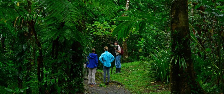 Arenal Observatory Lodge - randonnée