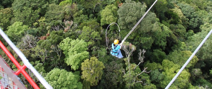 Monteverde Extremo Park - Tarzan Swing