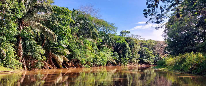 vue du fleuve de Caño Negro
