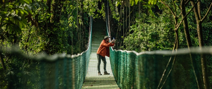 nature, pont, suspendu