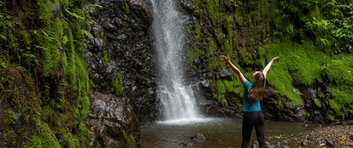cascade, eau, nature