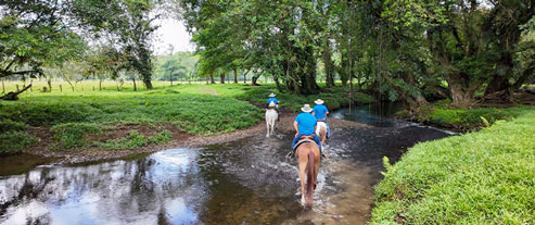 El lugar - balade à cheval Traversée à cheval d'une rivière
