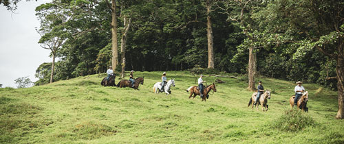El lugar - balade à cheval Traversée à cheval d'un champ