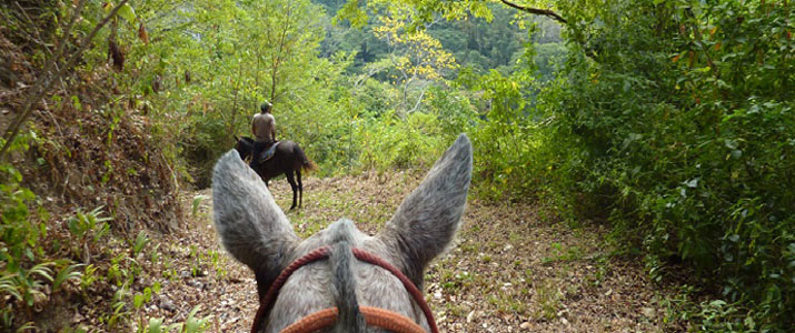 Star Mountain Jungle Lodge cheval balade