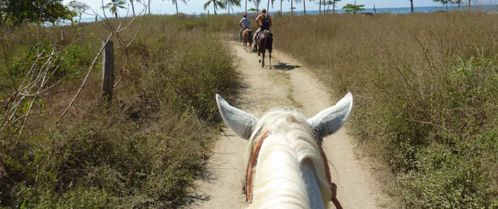 Star Mountain Jungle Lodge cheval balade