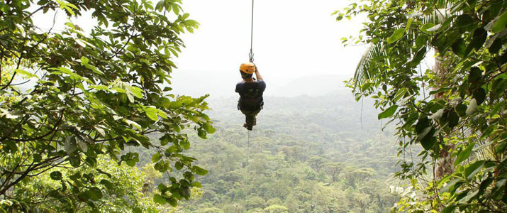 Rainforest Adventures Atlantic tyrolienne