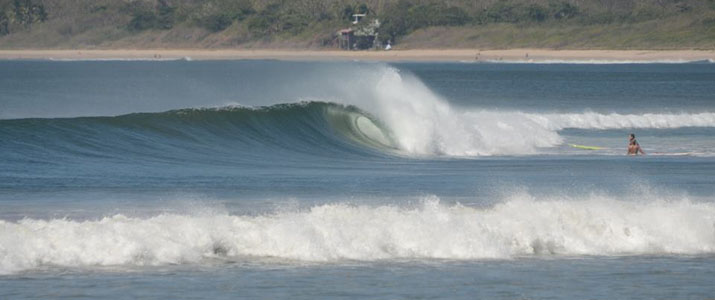 Kelly's Surf shop Kelly's Surf shop vagues