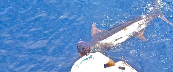 Tamarindo Sport Fishing pêche