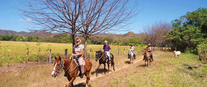 Finca Monteclaro balade cheval volcan