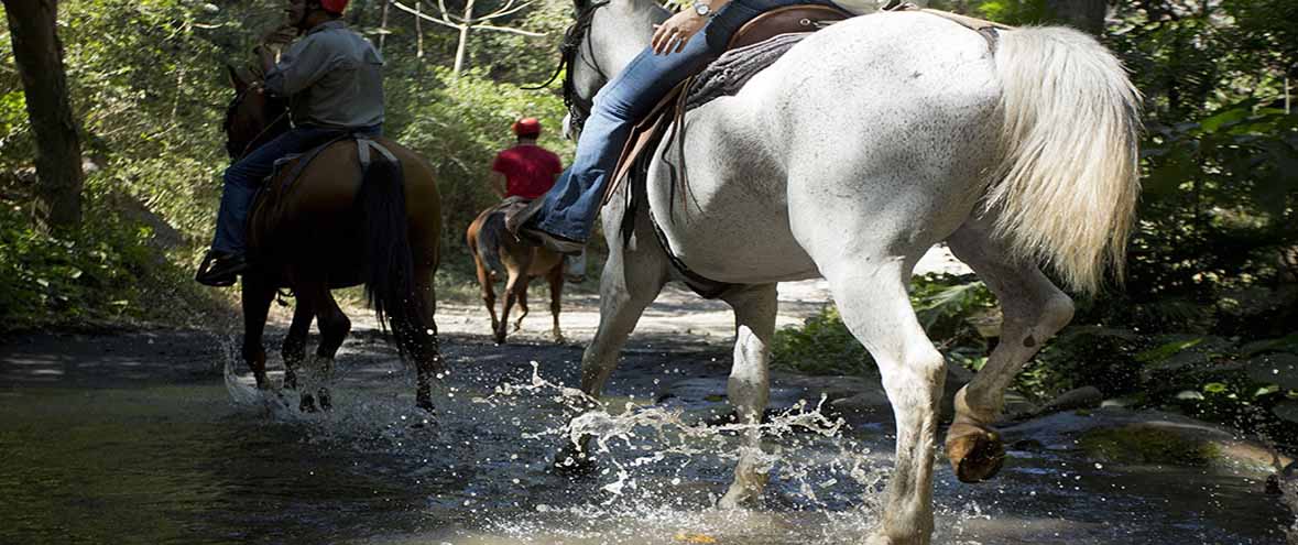 Buena Vista Lodge & Adventure Buena Vista Lodge & Adventure