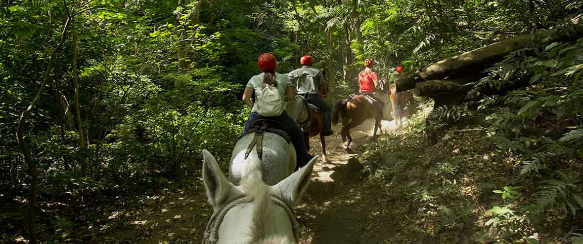 Buena Vista Lodge & Adventure Buena Vista Lodge & Adventure