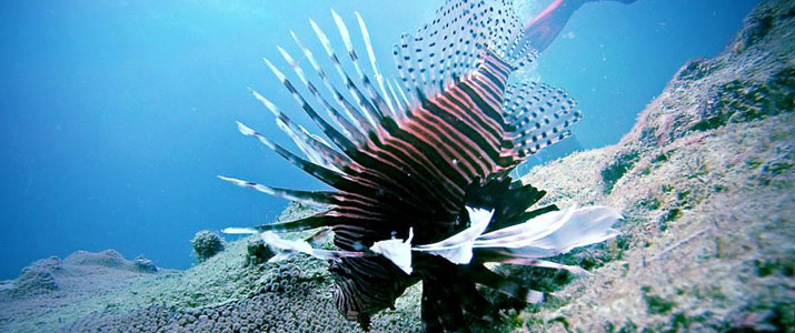 La Buga Dive Center and Surf La Buga Dive Center and Surf