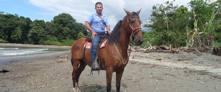 Titre 1 Alt 1 cheval