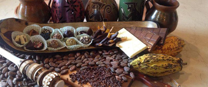 Chocomuseo Chocomuseo musée chocolat caco