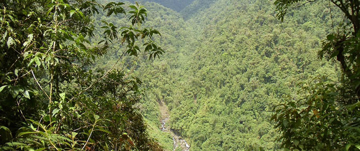 Catarata del Toro (Amarillo)