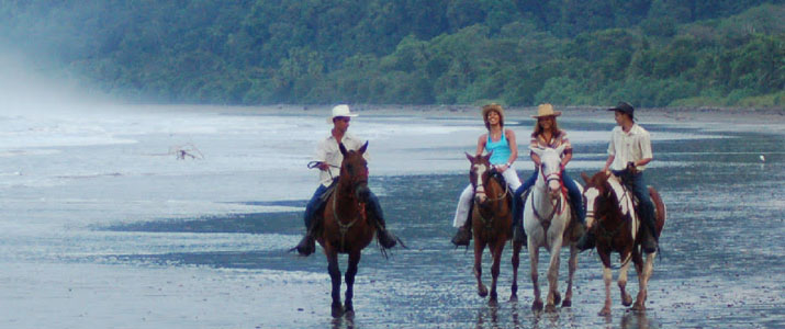 Rancho La Merced cheval