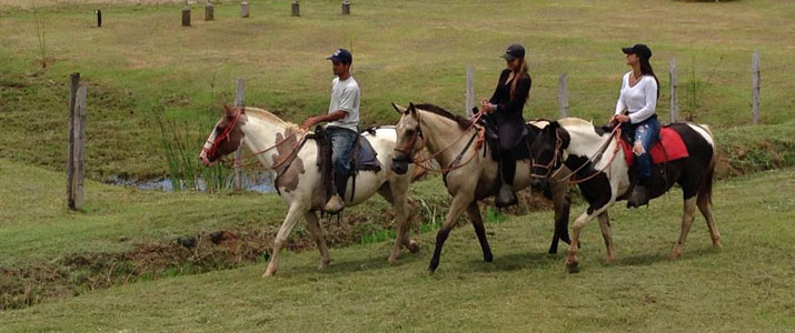 Rancho La Merced cheval