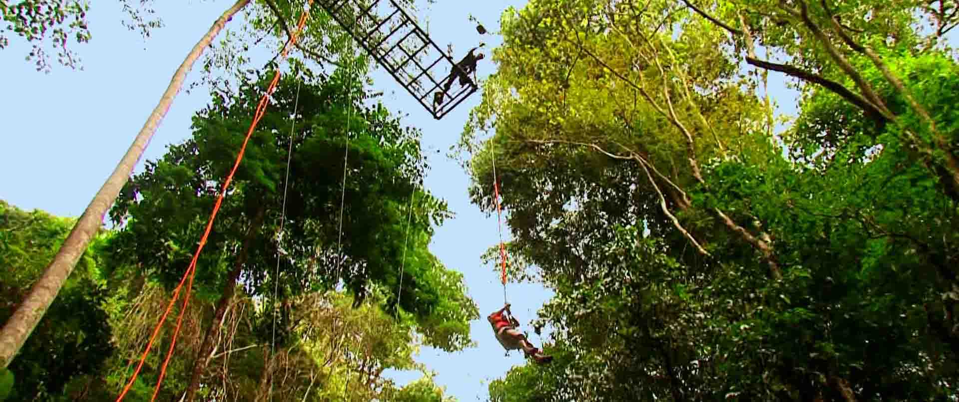 rainforestadventure2 rainforestadventure2alt