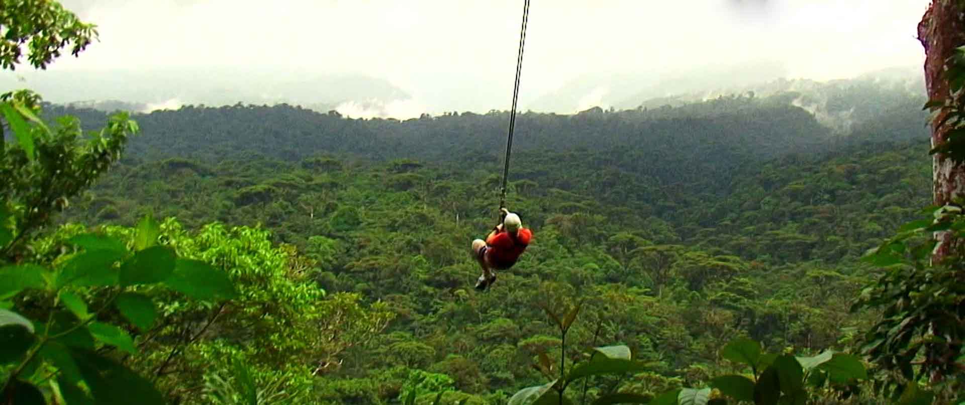 rainforestadventure3 rainforestadventure3alt