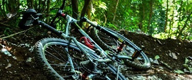 rainforestadventure4 rainforestadventure4alt