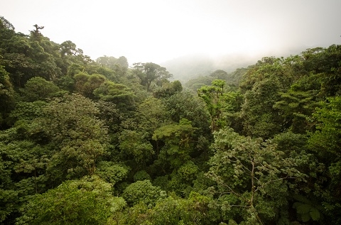 Régions du pays, régions du costa rica à ne pas rater, plus beaux sites touristiques,  