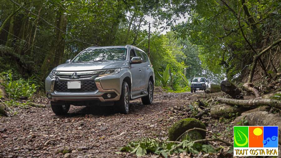 Arbres Jungle Forêt Piste Non-asphalté Assurances Tous risques franchises