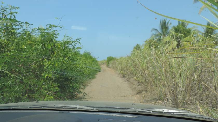 piste non asphaltée costa rica nature tableau de bord véhicule voiture