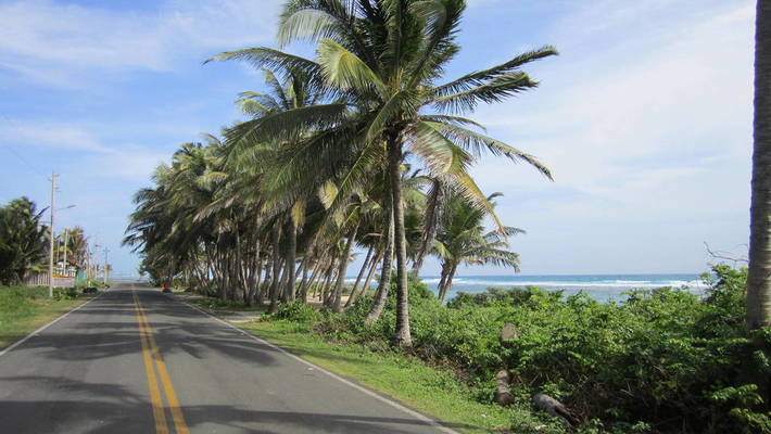 route palmier costa rica