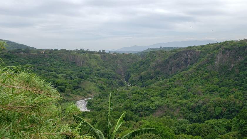 belle vue rivière costa rica jungle