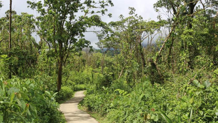 Rio Celeste Costa Rica jungle chemin