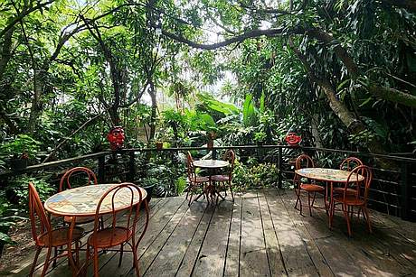 Photo du jardin intérieur de l'hôtel Aranjuez
