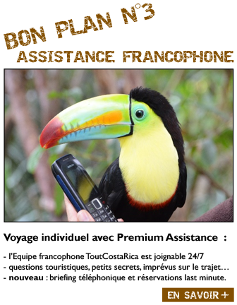 BON PLAN N°3 ASSISTANCE FRANCOPHONE Voyage individuel avec Assistance ToutCostaRica  : l’Equipe francophone ToutCostaRica est joignable 24/7 questions touristiques, petits secrets, imprévus sur le trajet… nouveau : briefing téléphonique et réservations last minute.