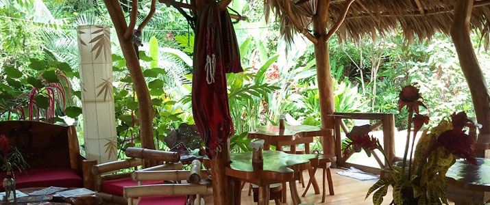 Coin détente Coin détente au blue conga Caraïbes Sud Puerto Viejo de Talamanca chaises tables banquette végétation terrasse en bois