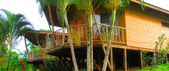 Pedacito de Cielo Boca Tapada Cabinas en Bois sur piloti Jungle