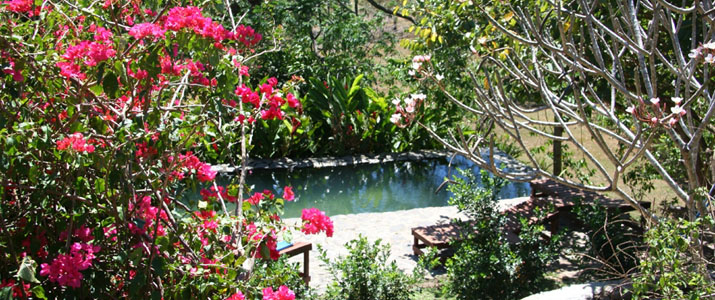 Aroma de Campo Nature Aroma de Campo Hotel Costa Rica Nature Piscine