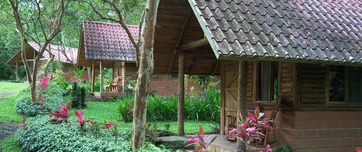 Arenal Oasis Ecolodge La Fortuna Volcan Jungle Cabinas