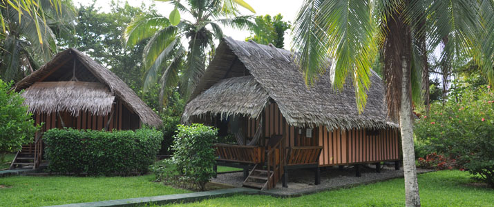 Bungalow en bois Coco Logo Lodge Caraïbes Sud Puerto viejo de Talamanca bungalow en bois dans immense jardin