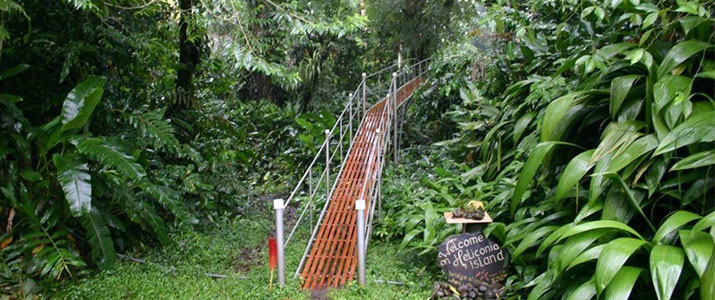 Heliconia Island - Pont et Jardin Heliconia Island Las Horquetas Braulio Carrillo Puerto Viejo de Sarapiqui Pont Suspendu Jardin Jungle