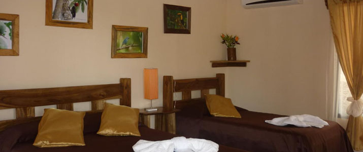 Cerro Lodge Chambre Cerro Lodge Pacifique Centre Hotel Costa Rica Chambre
