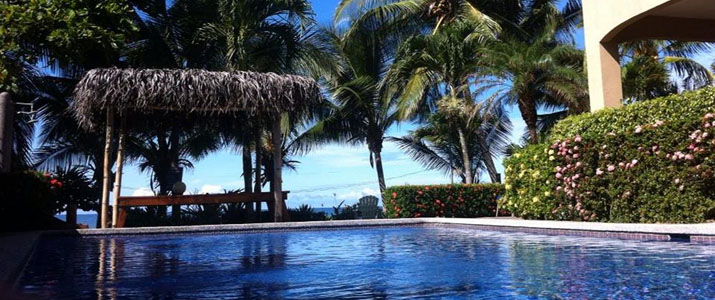 Backyard Hotel Piscine Palmier Détente Jaco Costa Rica