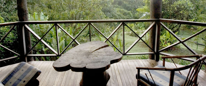 Rara Avis - Vue de la terrasse Rara Avis Las Horquetas Braulio Carrillo Puerto Viejo de Sarapiqui Hotel Jungle Vue Terrasse