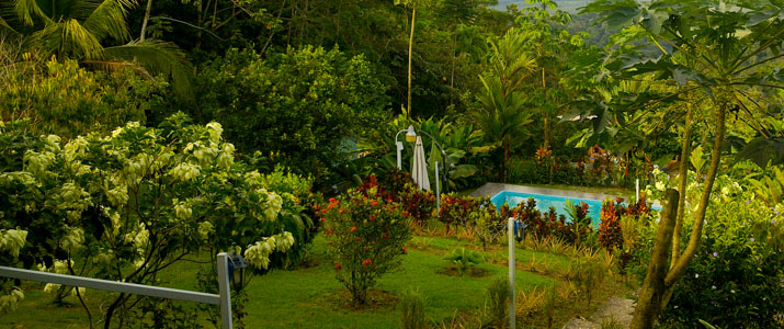 El Mirador de Osa Corcovado Costa Rica Hotel Vue