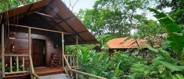 Aninga Hotel & Spa Bungalow extérieur jardin verdure bois