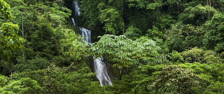 Hotel Quelitales Ujarras Vallée d'Orosi Cachi Turrialba Cathie Cascade